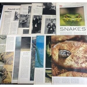 Ephemera Lot LIFE Magazine March 1963 Detached Pages 9.5oz. VTG Pictures/Stories